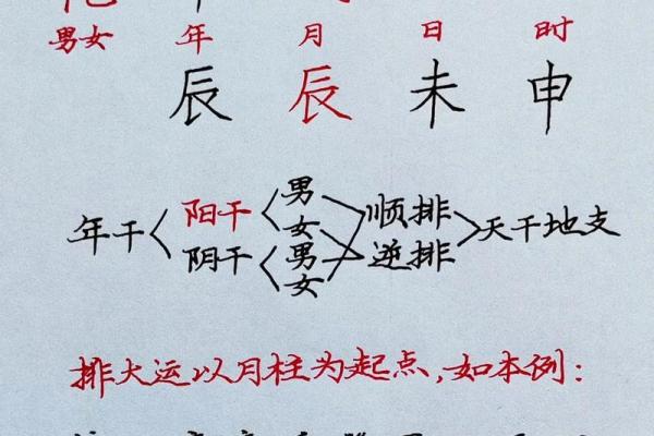 丙子日八字