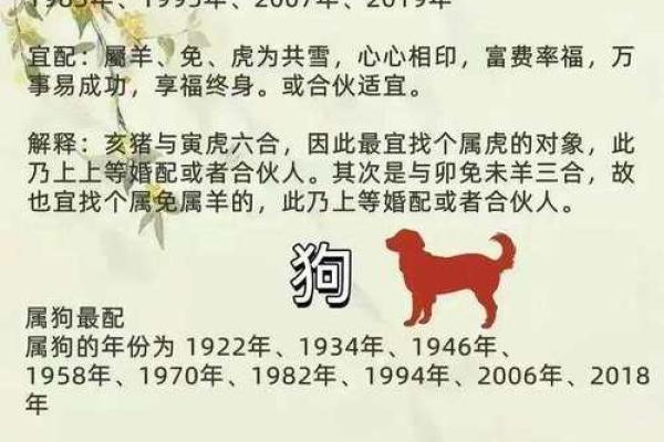 63年属什么生肖配对
