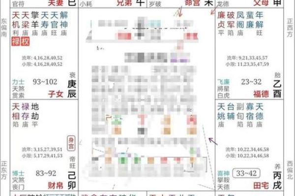 紫薇斗数大限工作