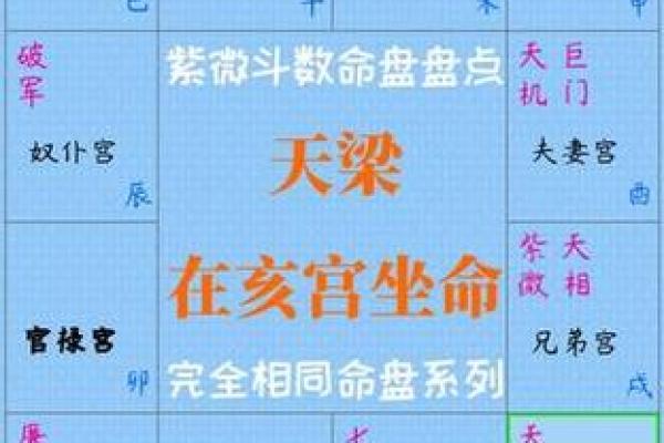 天梁在子女宫，紫微斗数天梁在子女宫详解