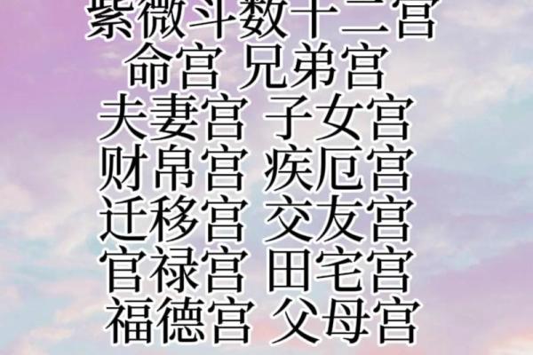 六煞紫薇斗数