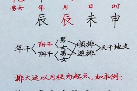 丙子日八字