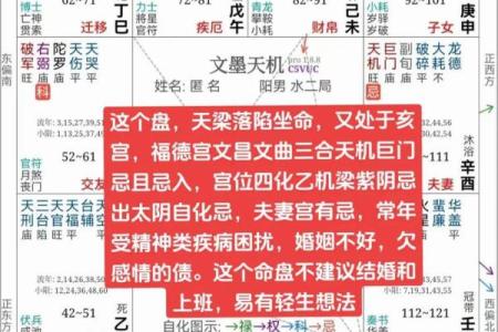 轮回紫薇斗数吧