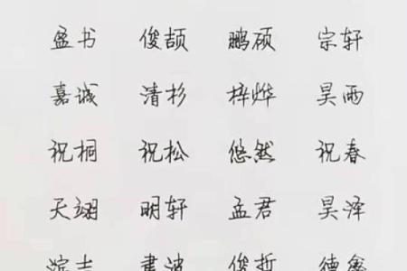 2019年4月30号寅时出生的男孩如何起名姓名