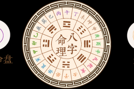 【详批苏小妍八字命运特点与建议】