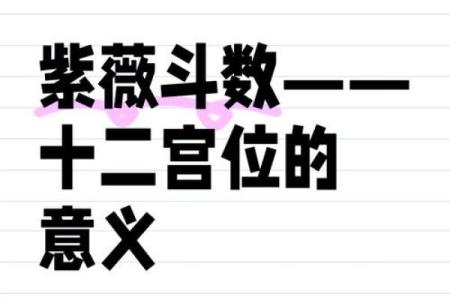紫薇斗数疾病宫