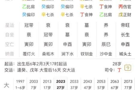 流年八字排盘