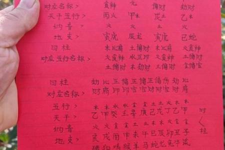 纳音八字