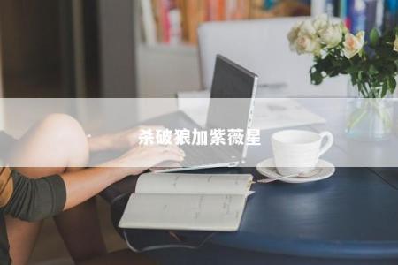 杀破狼加紫薇星