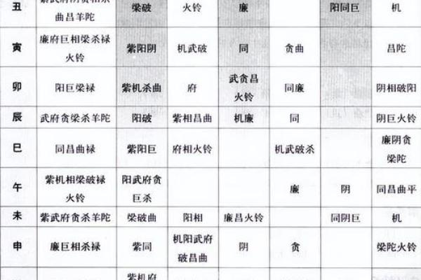 紫薇斗数子斗戌