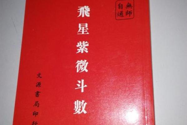 紫薇斗数pdf网盘