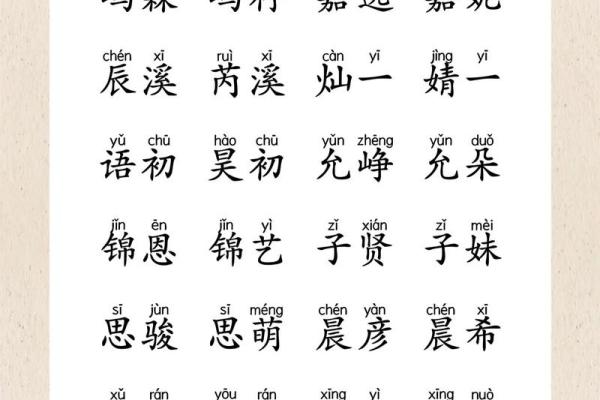 2019年3月25号子时出生的男孩如何起名姓名