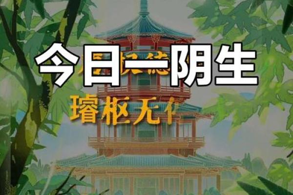 2024年夏至出生的孩子八字解析 一生运程如何