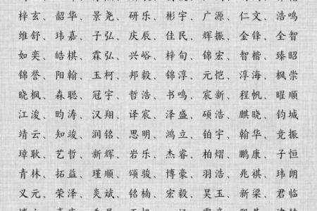 孩子起名字大全免费,企业取名字大全免费测试