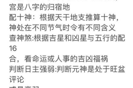 算命算子嗣