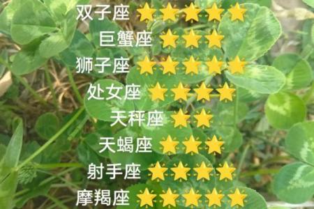 柒爸星座白羊运势