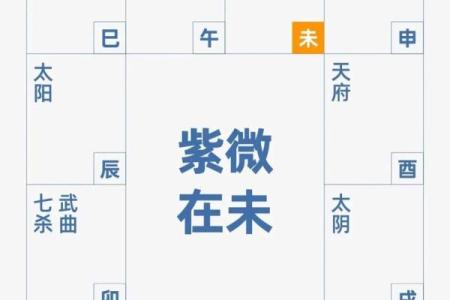 紫薇斗数中的加什么意思