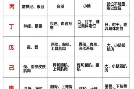 八字干支