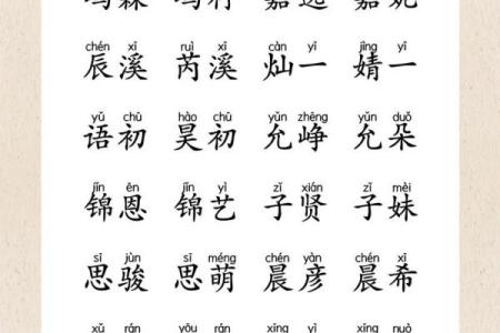 2019年3月25号子时出生的男孩如何起名姓名
