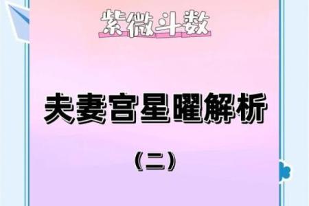 紫薇落在夫妻宫