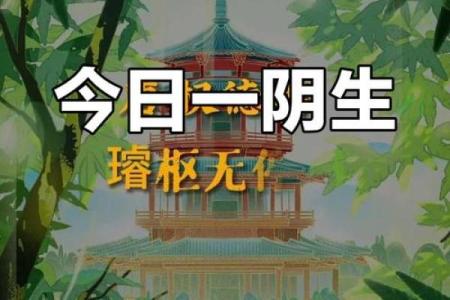 2024年夏至出生的孩子八字解析 一生运程如何