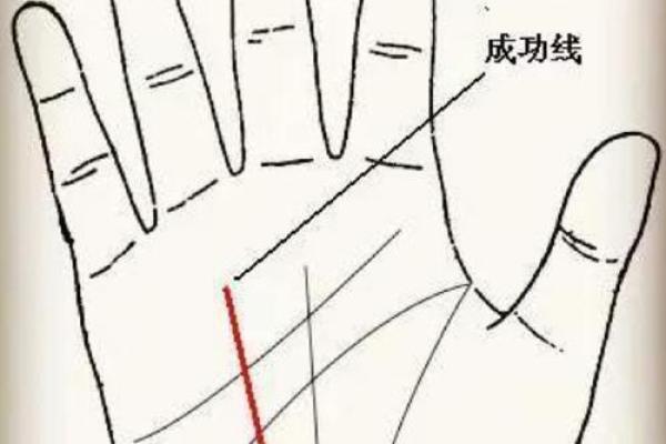 《手相学习百科》：太阳线