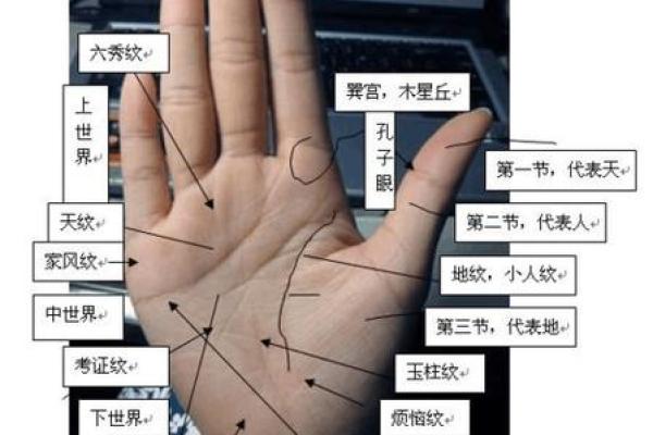 图解-智慧线上有十字纹算命