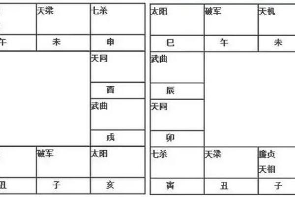 紫微斗数114种命盘