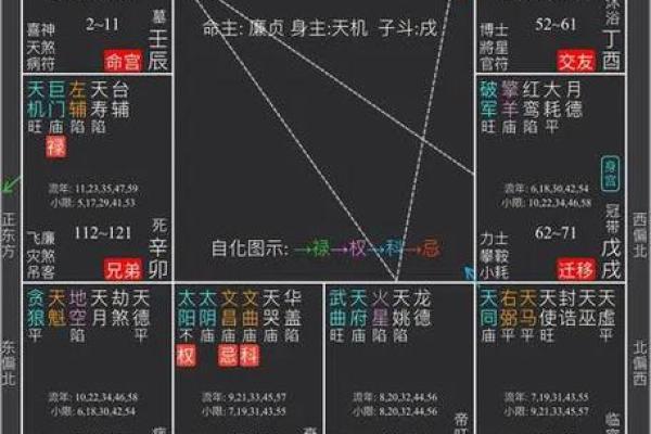紫薇斗数下属