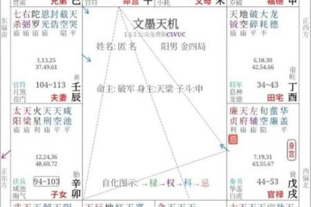 紫薇斗数什么格局最好