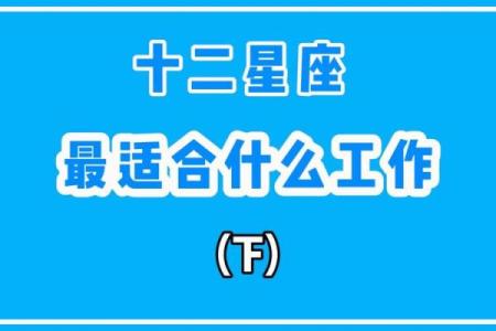 十二星座毕业后适合做什么工作