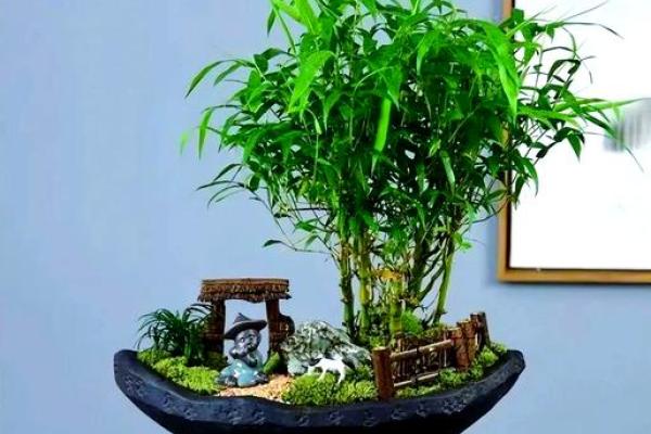 竹子在院子哪个方位好