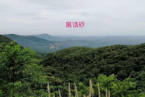 海南房子风水禁忌图案