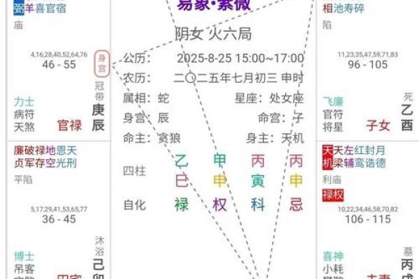 紫微斗数诸星落诸宫之:天府星财帛宫详解 紫微斗数诸星落诸宫之:天府星财帛宫详解