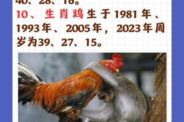 1996年属什么生肖配对