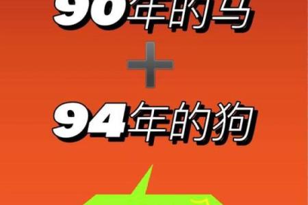 属马女性配对大揭秘：羊男VS狗男，成功婚姻密码在哪？