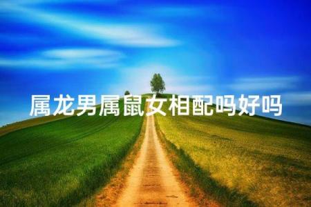 属鼠和属龙配对合适吗-