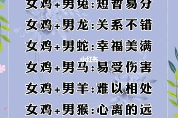 2005年属什么生肖配对最好,2005年属鸡的属相婚配表