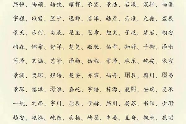 2019年3月25号酉时出生的男孩起名方法姓名