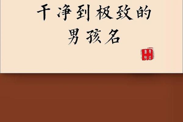 2019年3月25号酉时出生的男孩起名方法姓名