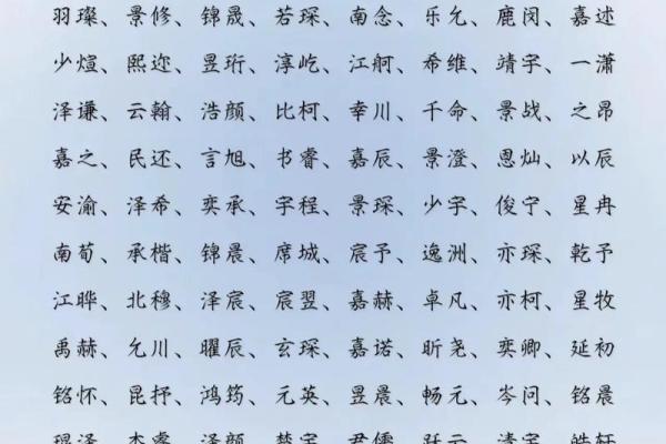 2019年5月1号丑时出生的男孩起名时要注意什么姓名