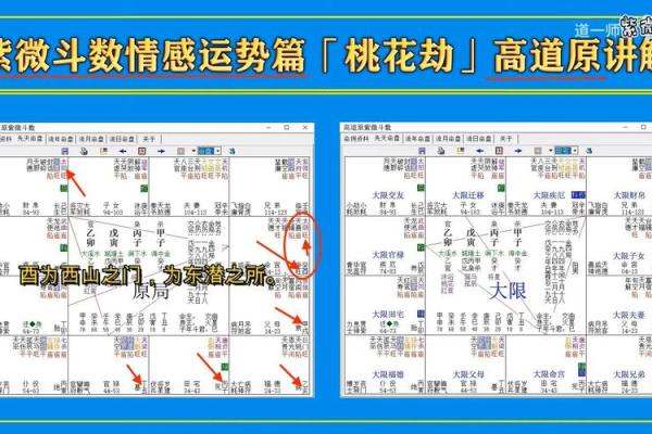 紫薇斗数流年艳遇