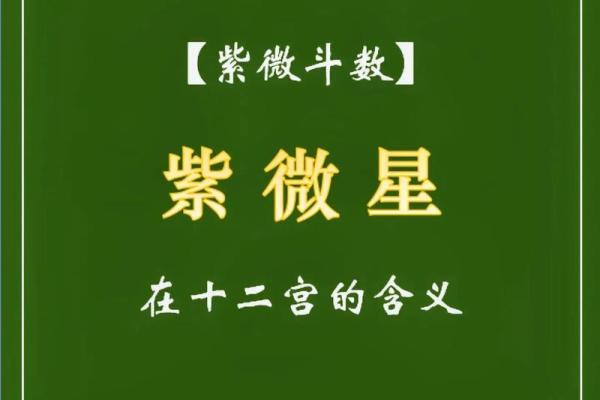 紫微斗数里紫薇是什么意思