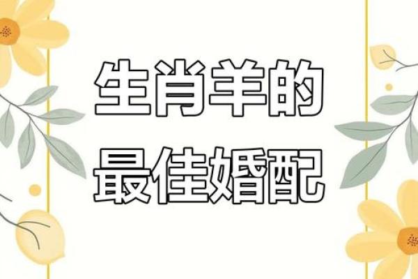 羊和什么属相配对幸福