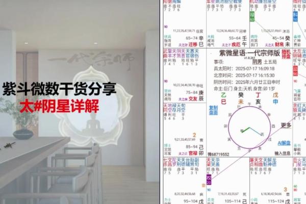 紫薇斗数详解软件