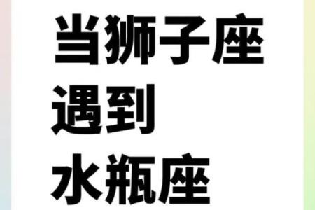 狮子和水瓶配对指数