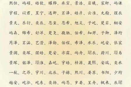 2019年3月25号酉时出生的男孩起名方法姓名