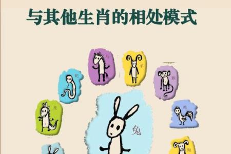属猪人的星座有哪些？12星座中哪个最适合猪宝宝？