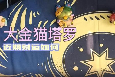 塔罗测试什么影响我的财运？