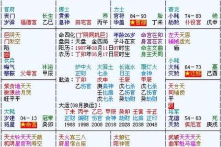 广州看紫薇斗数